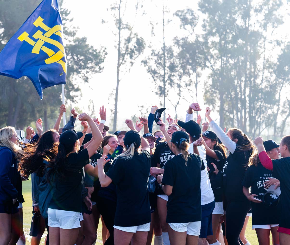 Students cheering in a huddle with a flag